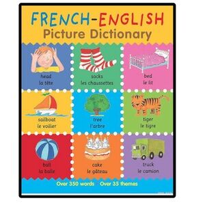 BUNDLE & SAVE🎉 French-English Picture Dictionary Softcover Book